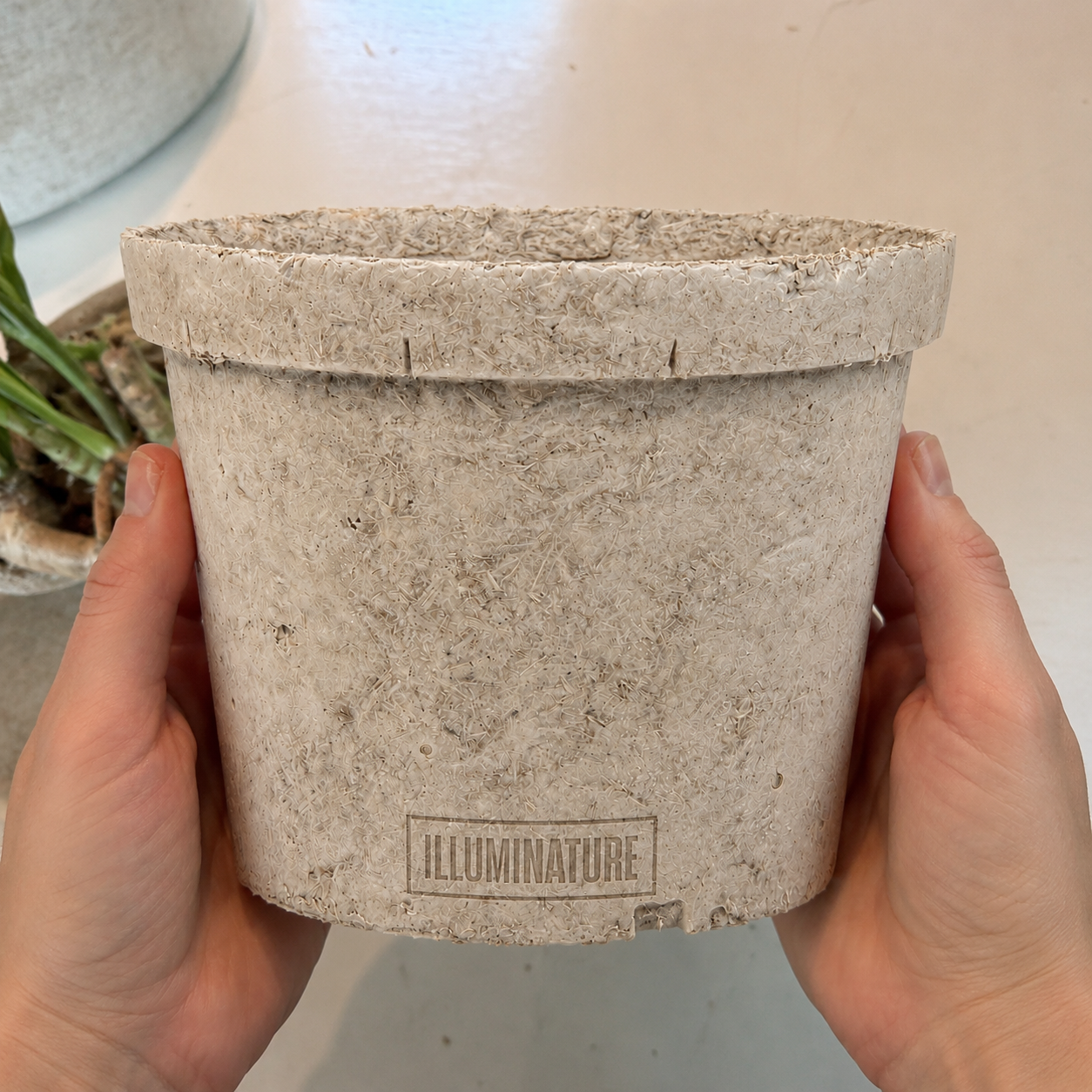 Hands holding an Illuminature mycelium pot
